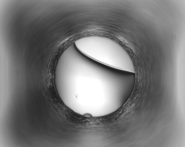 X0000096430822200801241022