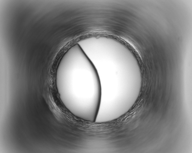 X0000096430823200801241022