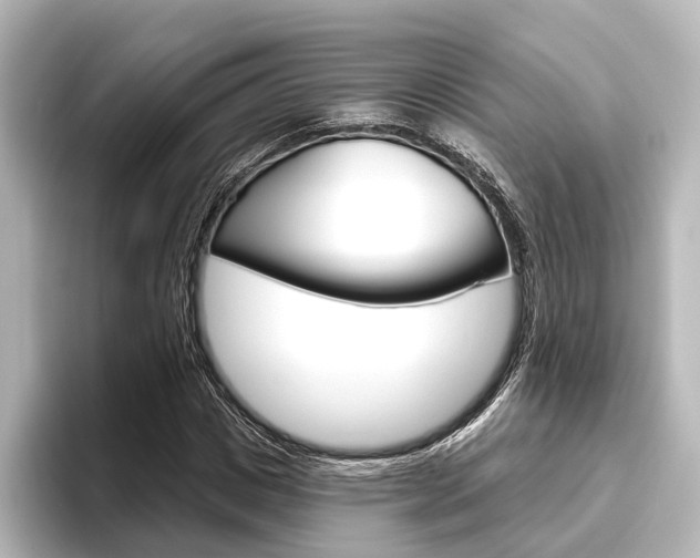 X0000096430825200801241022