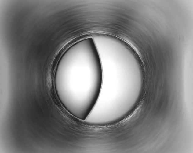 X0000096430829200801241022