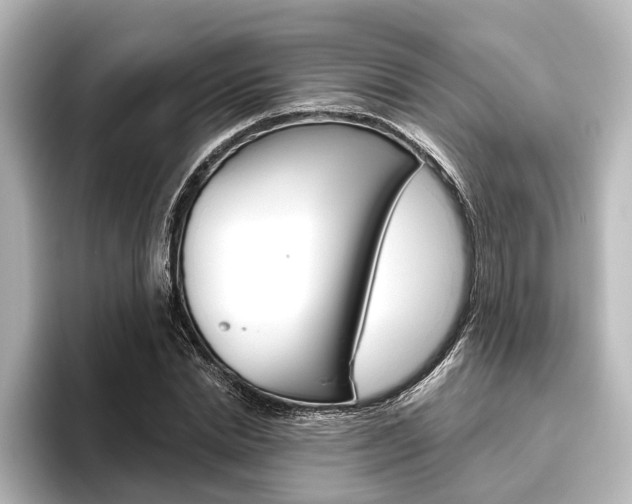 X0000096430830200801241022