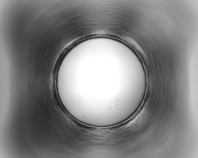 X0000096430831200801241022