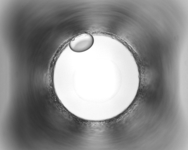 X0000096430832200801241022