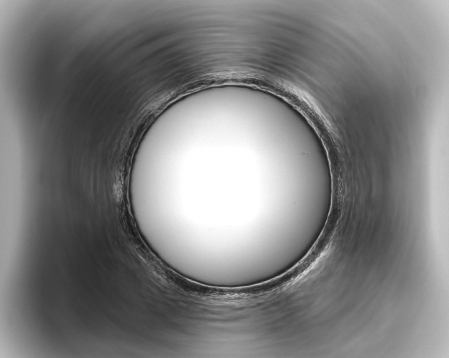 X0000096430833200801241022