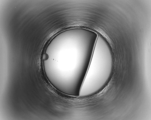 X0000096430834200801241022