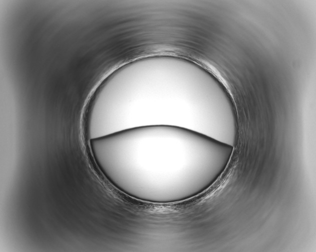 X0000096430835200801241022