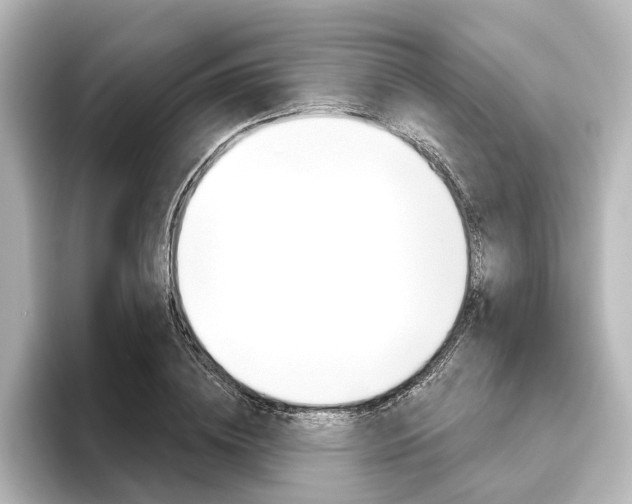 X0000096430836200801241022