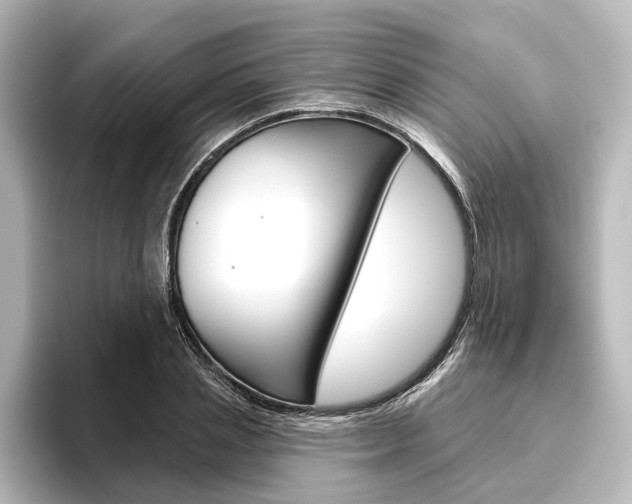 X0000096430837200801241022