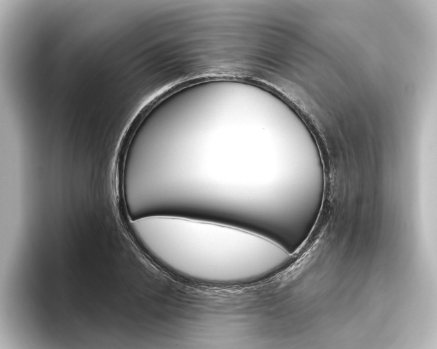 X0000096430838200801241022