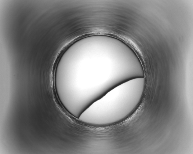 X0000096430839200801241022