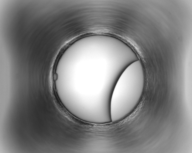 X0000096430840200801241022