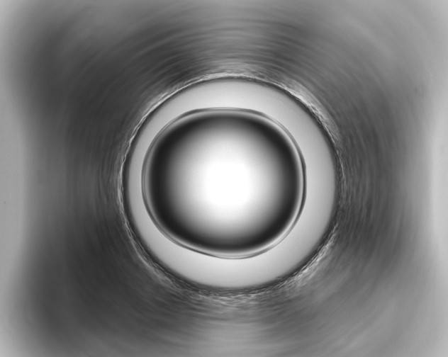 X0000096430842200801241022