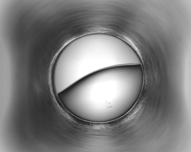 X0000096430843200801241022