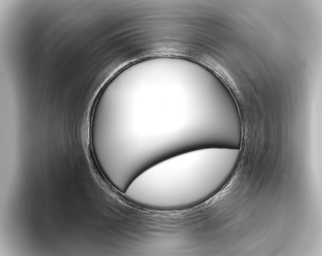 X0000096430844200801241022