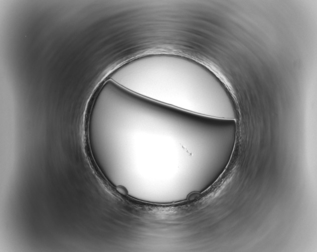 X0000096430845200801241022