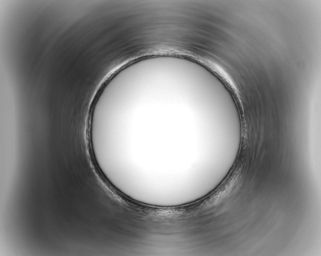X0000096430847200801241022