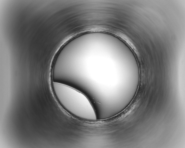X0000096430853200801241022