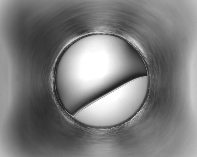 X0000096430854200801241022
