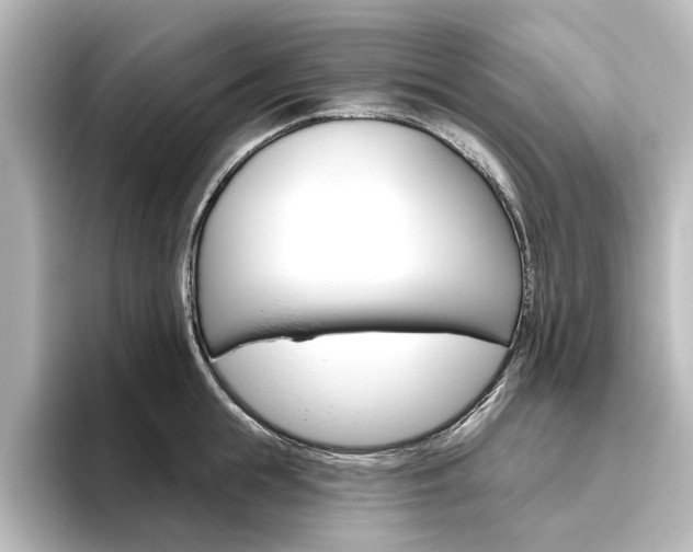 X0000096430855200801241022