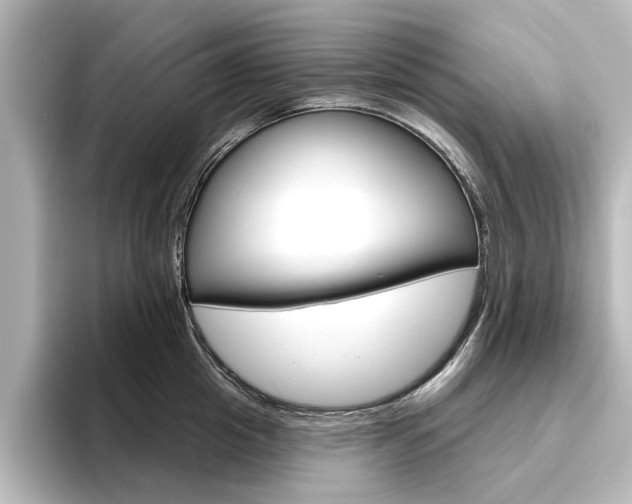 X0000096430857200801241022