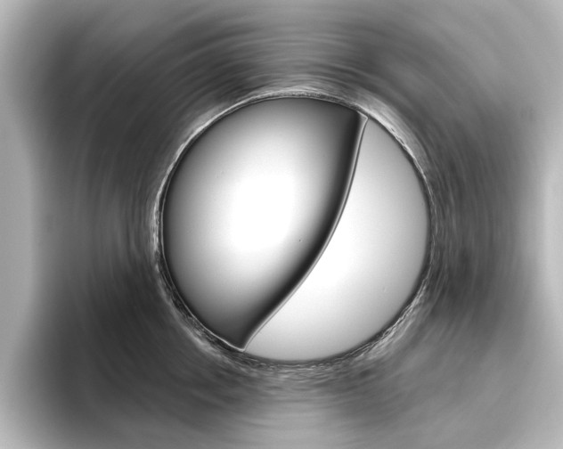 X0000096430858200801241022