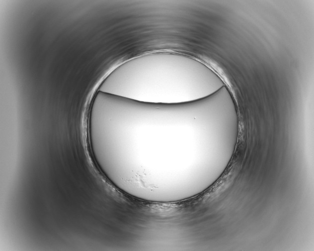 X0000096430859200801241022