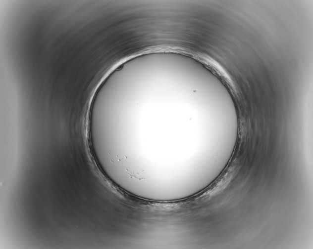 X0000096430860200801241022