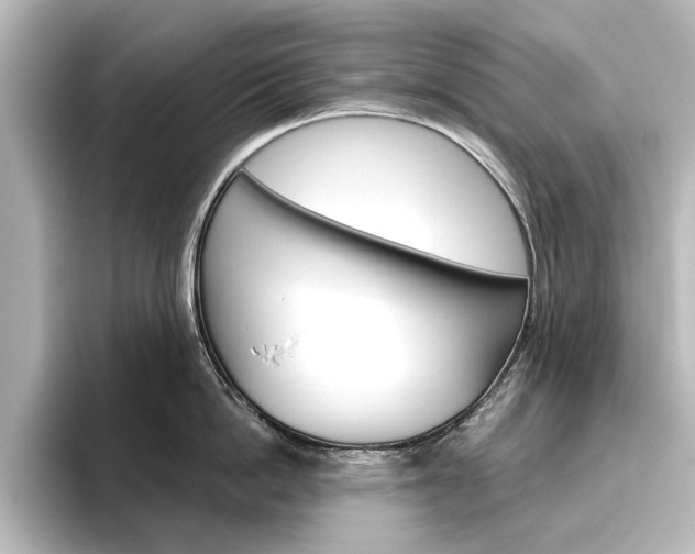 X0000096430862200801241022