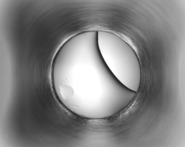 X0000096430863200801241022