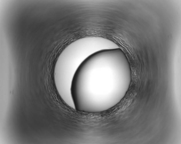 X0000096430865200801241022