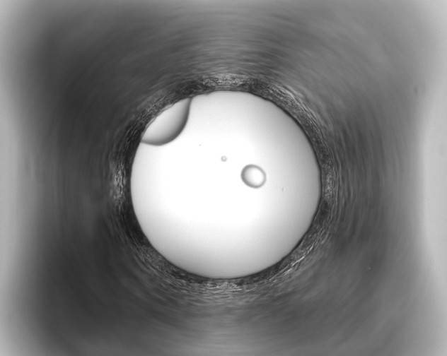 X0000096430866200801241022