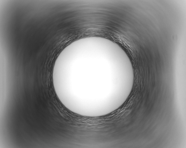 X0000096430868200801241021