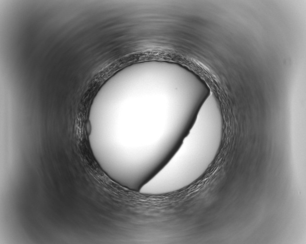 X0000096430869200801241021