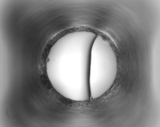 X0000096430871200801241021