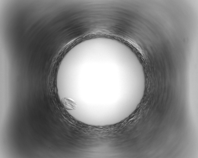 X0000096430872200801241021