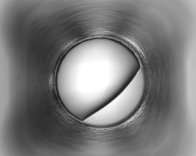 X0000096430873200801241021