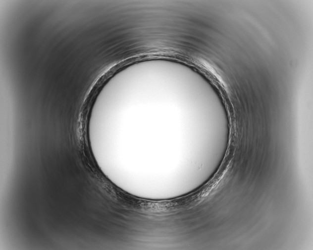 X0000096430875200801241021