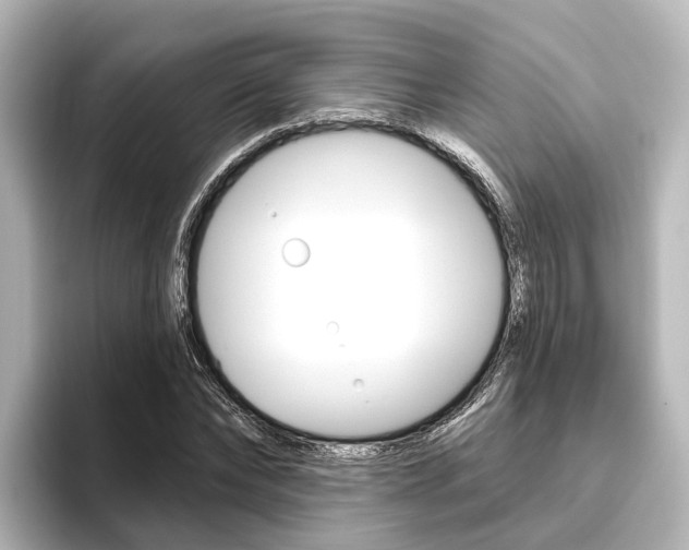 X0000096430878200801241021