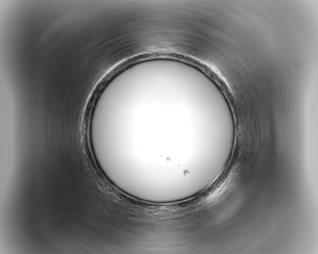 X0000096430879200801241021
