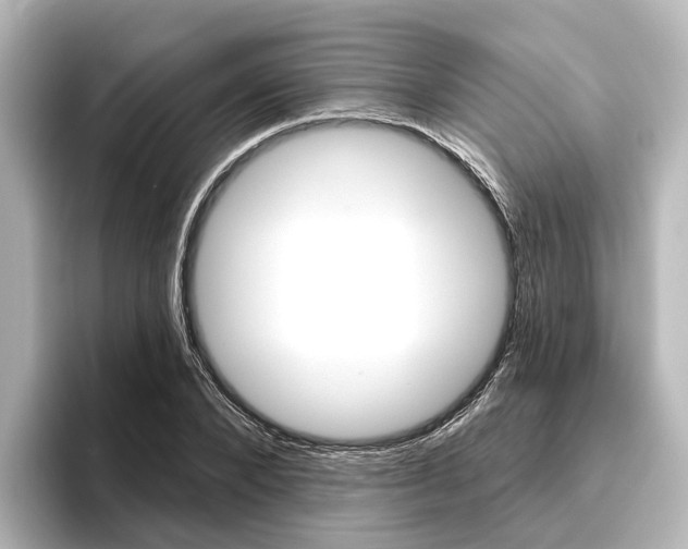 X0000096430880200801241021