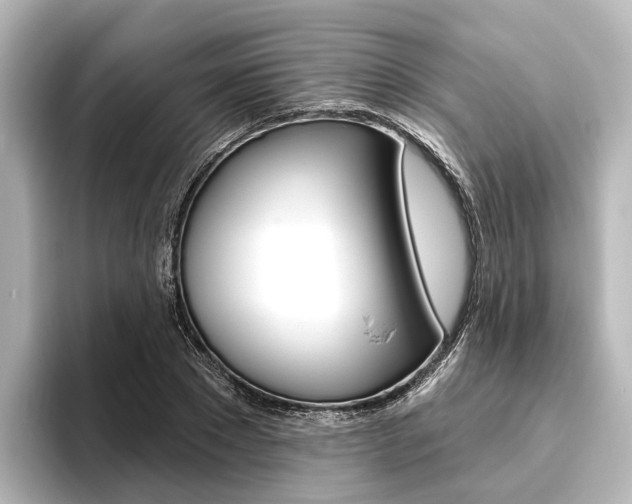 X0000096430881200801241021