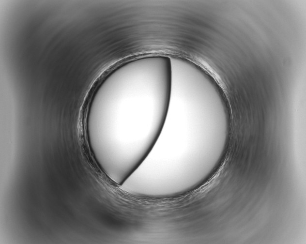 X0000096430883200801241021