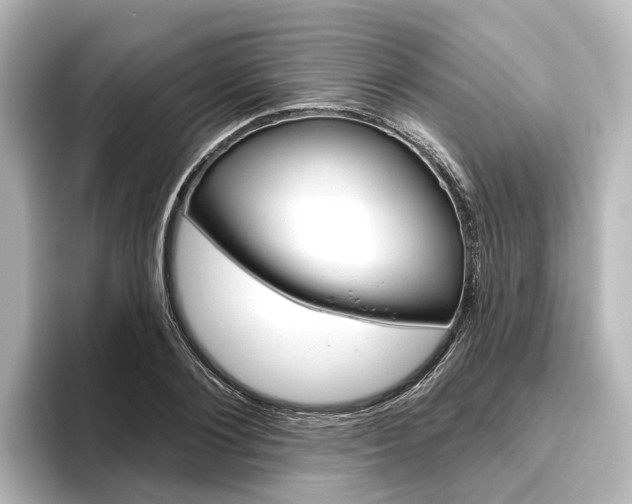 X0000096430884200801241021