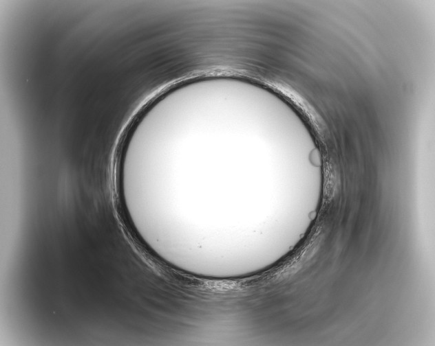 X0000096430886200801241021
