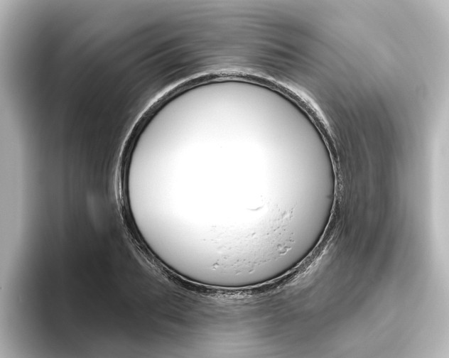 X0000096430887200801241021