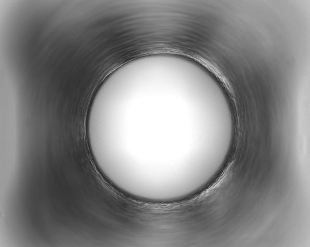 X0000096430889200801241021