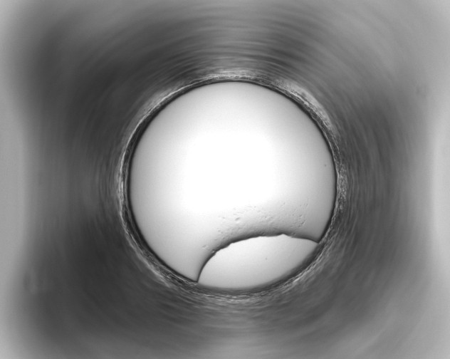 X0000096430890200801241021