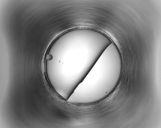 X0000096430891200801241021