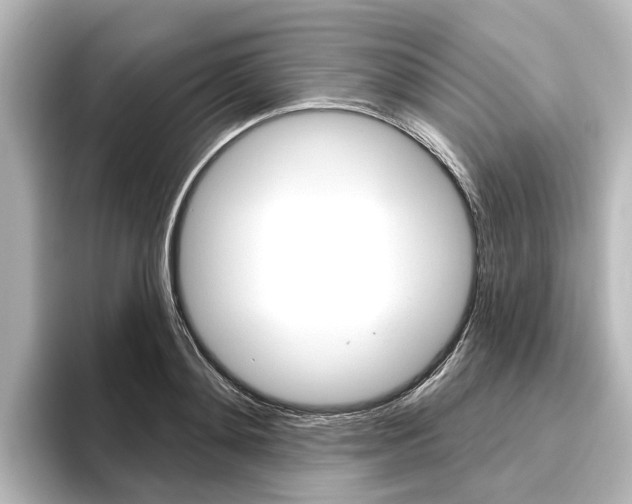 X0000096430892200801241021