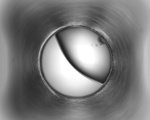 X0000096430894200801241021